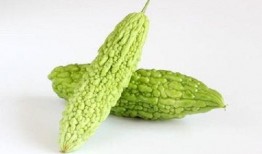 苦瓜特效爆料娱乐圈,娱乐圈明星的养生秘籍大公开