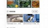 菠萝最新爆料视频,揭秘娱乐圈幕后真相