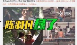 刘翔峰爆料内容视频大全,揭秘事件背后真相