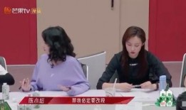 陈姐姐员工爆料视频大全,揭秘职场真相与幕后故事
