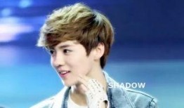 娱乐圈爆料鹿晗黑白,神秘新曲引期待