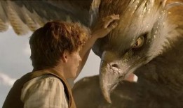 神奇动物空间爆料视频,神秘生物齐聚，奇幻世界一探究竟