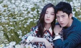 网友爆料井柏然视频播放,网友热议背后的真相揭晓