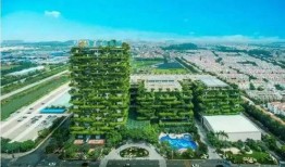 昆明碧桂园爆料事件视频,揭露背后的惊人真相