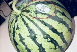 网红吃瓜列表,盘点娱乐圈最新热点事件