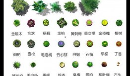 最新 植物爆料软件,揭秘植物爆料软件带来的颠覆性变革
