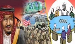 日本爆料自食恶果视频,揭秘真相背后的惊人后果