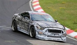 全能野马爆料视频,揭秘幕后故事与精彩瞬间