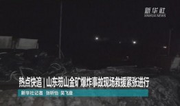 山东最新爆料事件视频播放,视频揭露惊人真相！