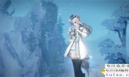 官方爆料雪舞外传视频,官方爆料揭秘，神秘剧情引期待