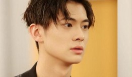 95后男明星爆料大全最新,独家爆料大全大揭秘