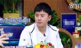 何炅爆料自己的孩子视频,温馨亲子互动引网友热议