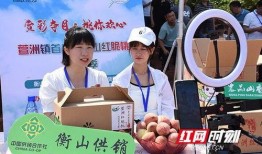 桃子爆料主播视频,揭秘主播幕后生活，视频内容引发热议